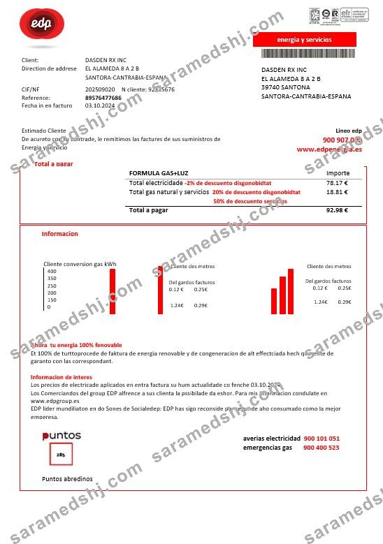 Spain EDP Energia business utility bill template in Word and PDF formats